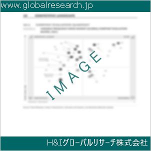 グローバルリサーチ調査資料のイメージ